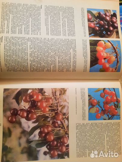 Энциклопедия садовода