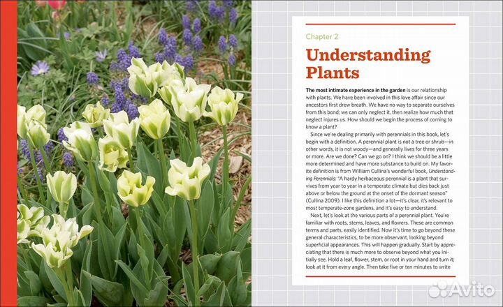 The Know Maintenance Perennial Garden