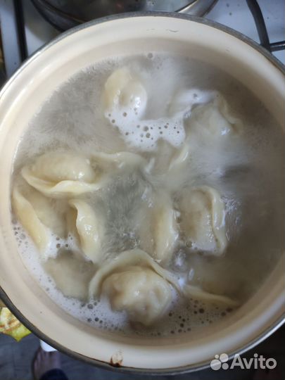 Мясо кролика