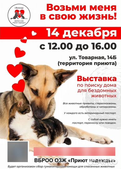 Малыши ищут дом