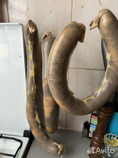 Конская колбаса казы