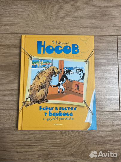 Игорь Носов; Николай Носов