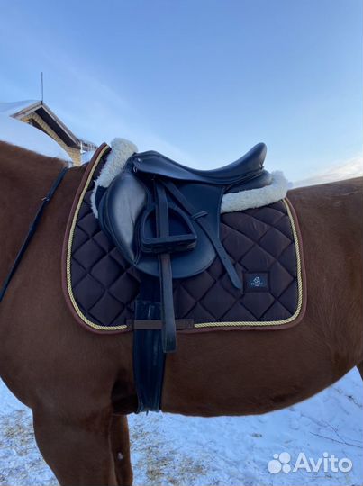 Вальтрап для лошади