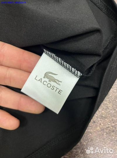 Поло Lacoste