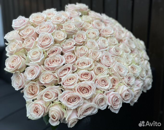 101 роза букет свежих роз. Большие букеты