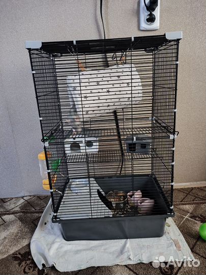 Большая клетка для крыс