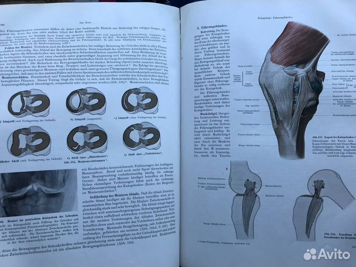 Антикварная книга Praktische Anatomie