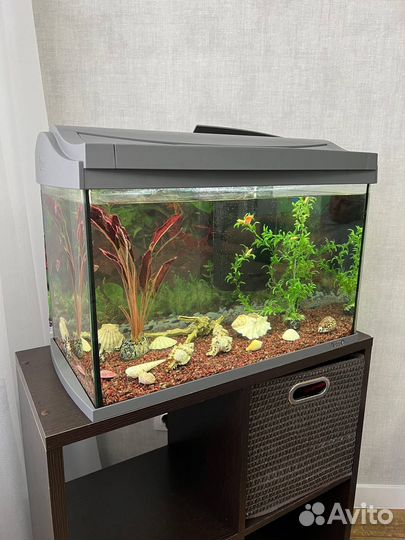 Аквариум