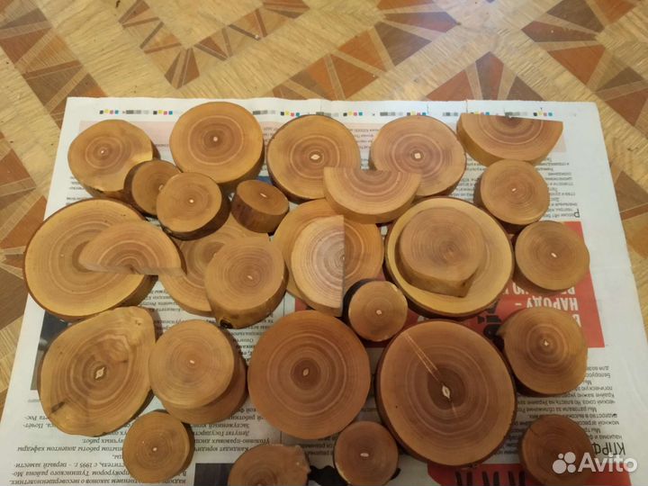 Торцевые спилы деревьев