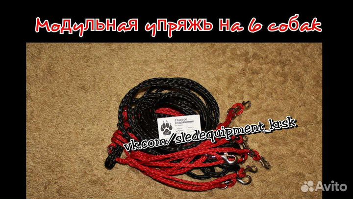 Упряжь для собак