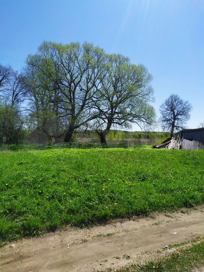 Участок 20 сот. (ИЖС)