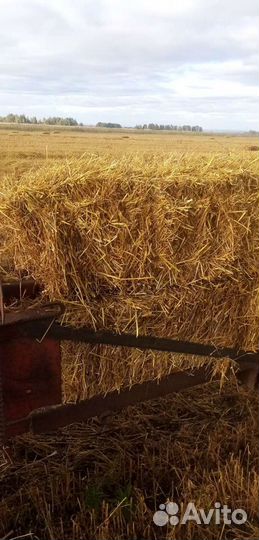 Солома в тюках