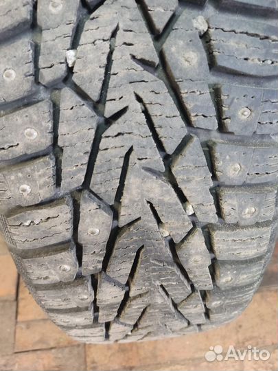 Nordman 7 205/60 R16