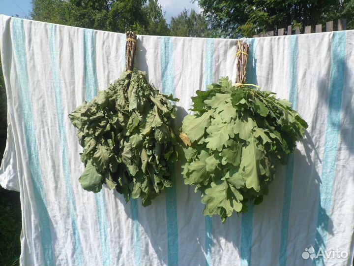 Веник дубовый