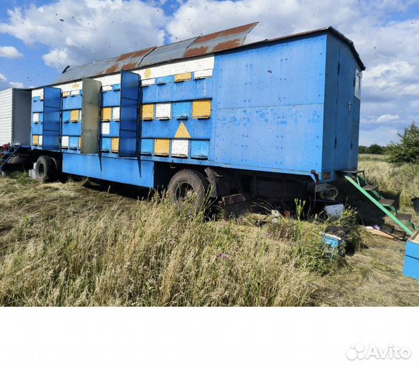 Продается пасека