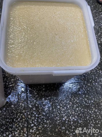 Липовый Мёд оптом