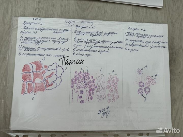 Книги о медицине