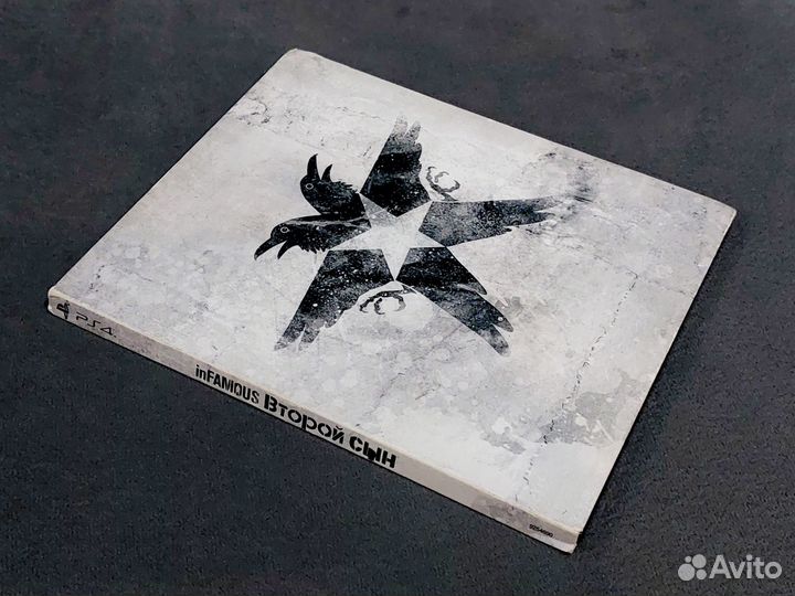 Infamous Второй сын Special Edition PS4 PS5
