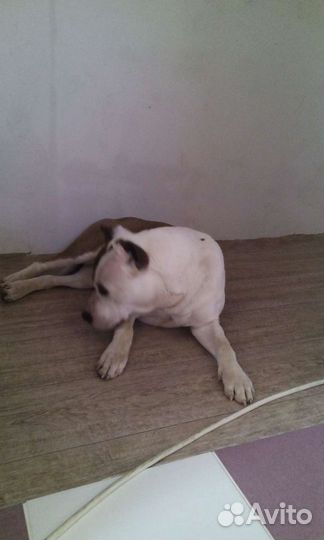 Кабель для вязки