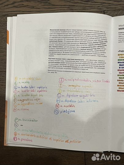 Анатомия человека: атлас-раскраска