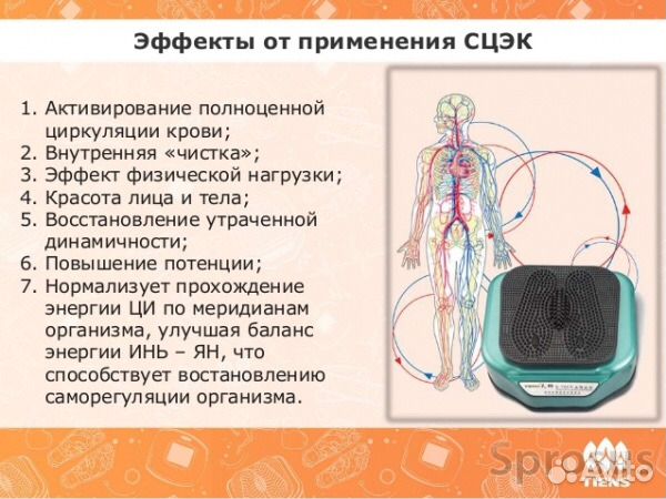 Сцэк - стимулятор циркуляции энергии и крови