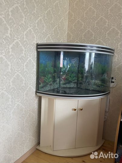 Аквариум с тумбой