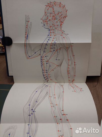 Традиционные и современные аспекты восточной