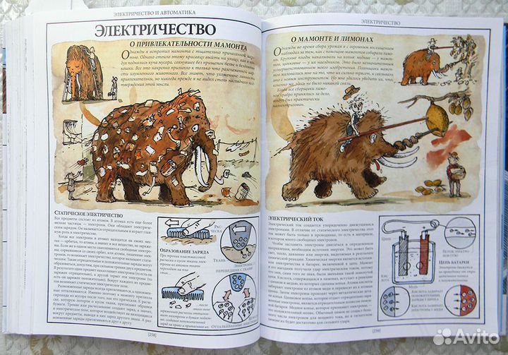 Как все устроено. Дэвид Маколи