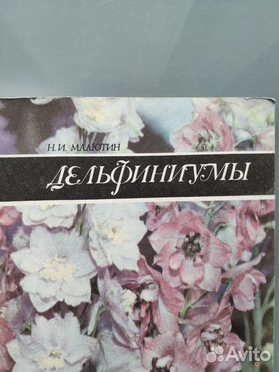 Приусадебный цветник,двулетники, гладиолусы