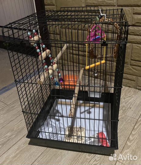Клетка для попугая корелла
