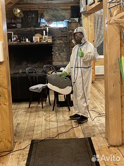 Уничтожение клопов