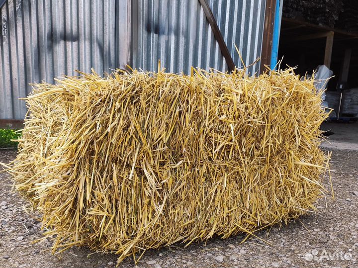 Солома в тюках с доставкой