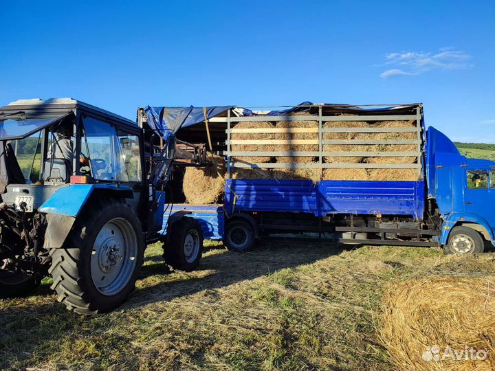 Грузоперевозки