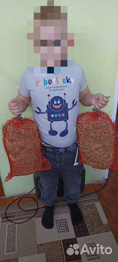 Сено для грызунов