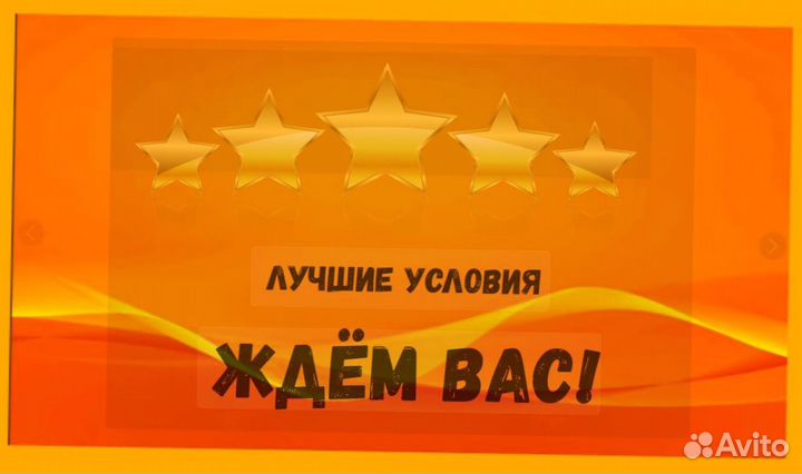 Упаковщик на склад Еженедельные выплаты Без опыта