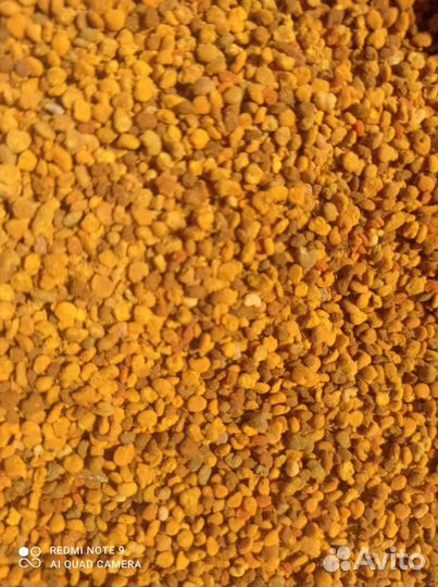 Пыльца пчелиная