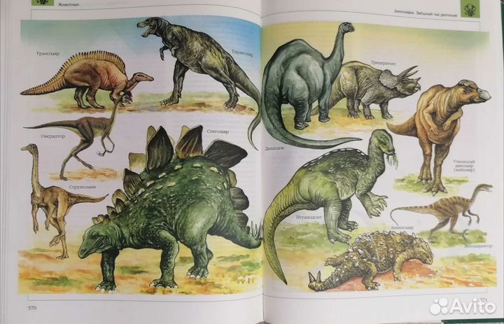 Энциклопедия Биология