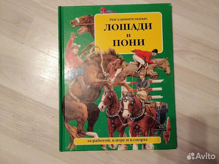 Книга о лашадях (для детей)