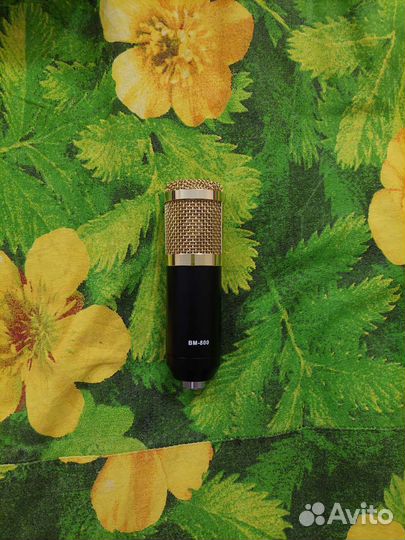 Микрофон BM-800