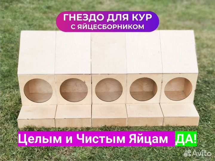 Гнездо для кур