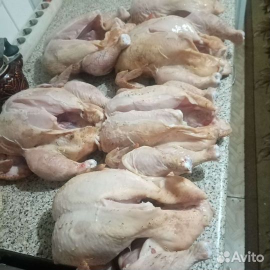 Мясо курицы бройлера