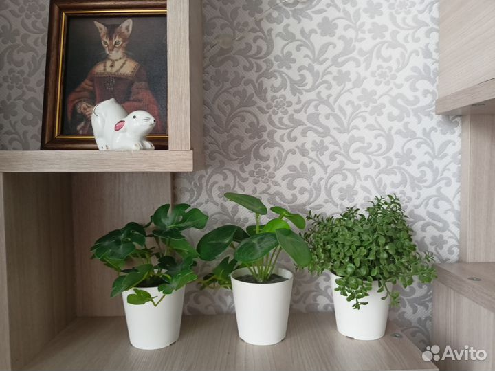 Искусственные цветы IKEA