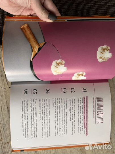 Книга А. Цукановой-Котт