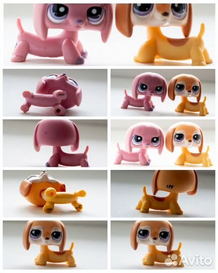 Littlest Pet Shop