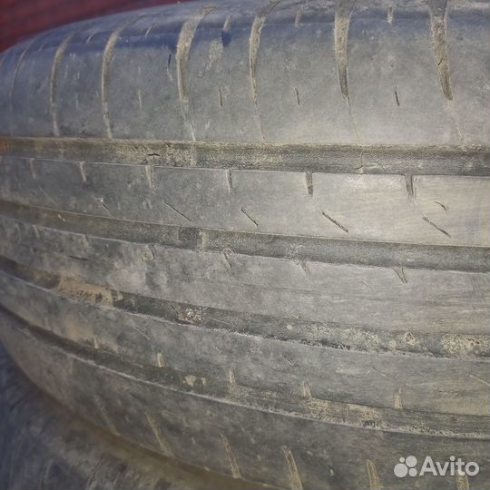 Maxxis Premitra HP5 205/60 R16 96V