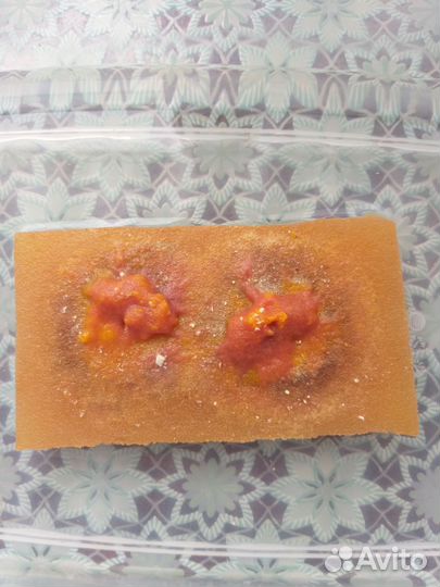 Меченосцы,снежинки,трубочник изя