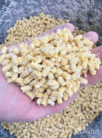 Кукуруза в гранулах