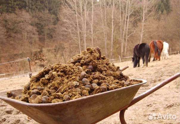 Навоз, перегной в мешках