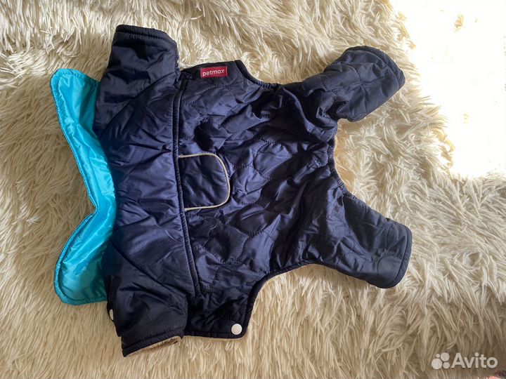 Одежда для собак мелких пород