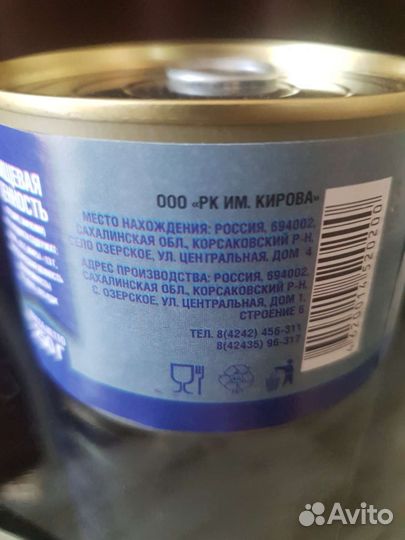 Иваси Курильский Берег